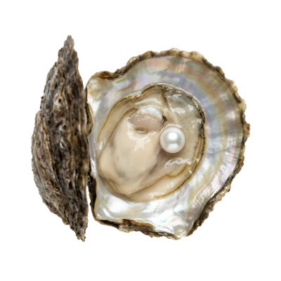 Open Oyster With Pearl