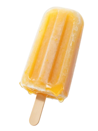 Orange Fruit Popsicle