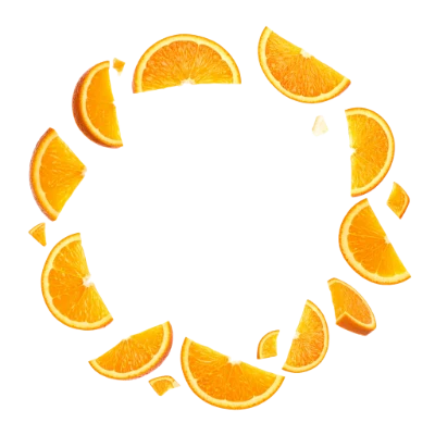 Orange Fruit Slice Frame