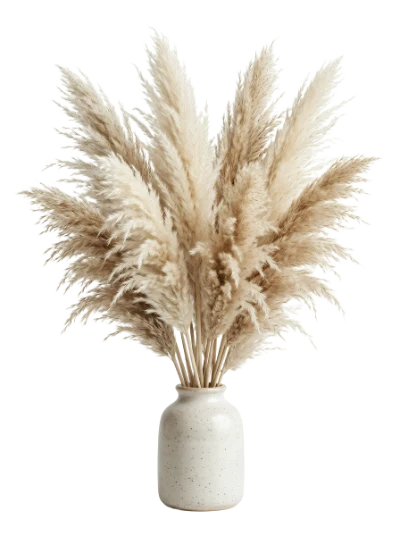 Pampas Grass In Vase