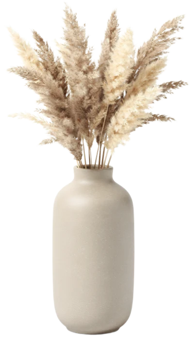 Pampas Grass In Vase