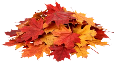 Pile Of Autumn Leaves