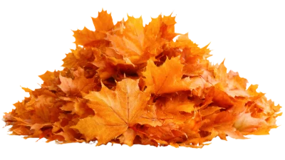 Pile Of Autumn Leaves