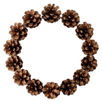 Pine Cone Wreath Frame