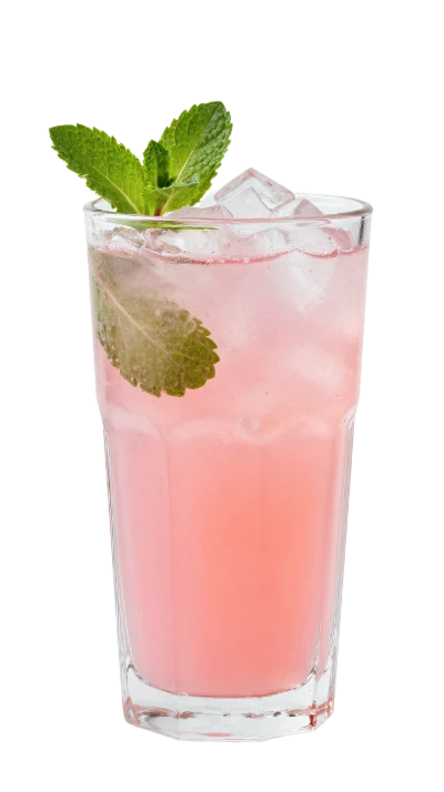 Pink Lemonade With Mint