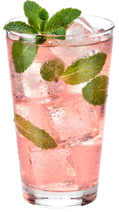 Pink Mint Cocktail