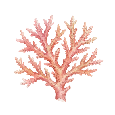 Pink Watercolor Coral Reef