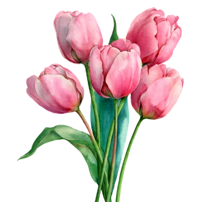 Pink Watercolor Tulip Bouquet
