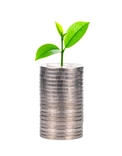 Plant Growing On Coins
