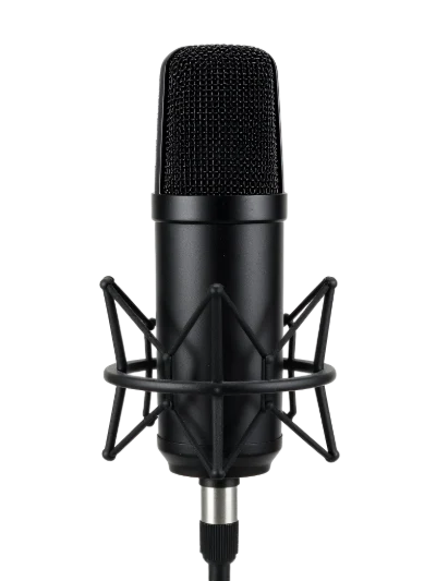 Professional Studio Condenser Microphone