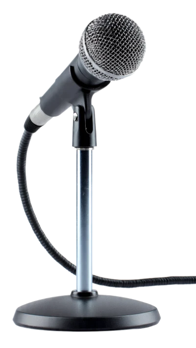 Professional Studio Microphone