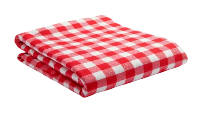 Red Gingham Picnic Blanket