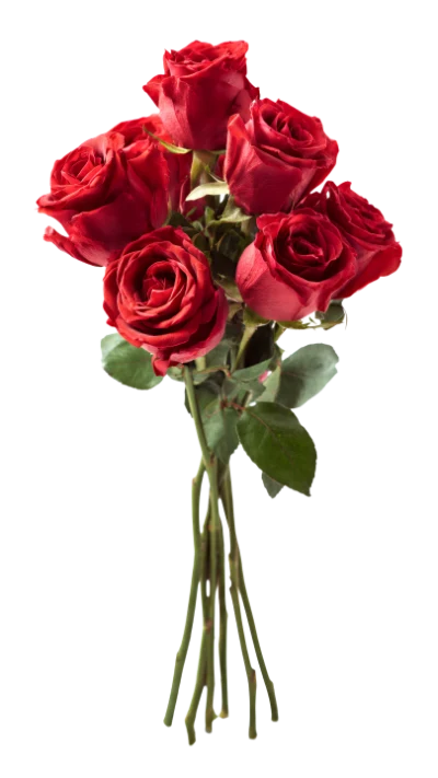 Red Rose Bouquet