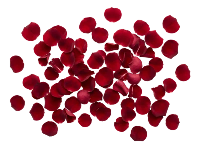 Red Rose Petals