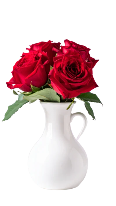 Red Roses In Vase