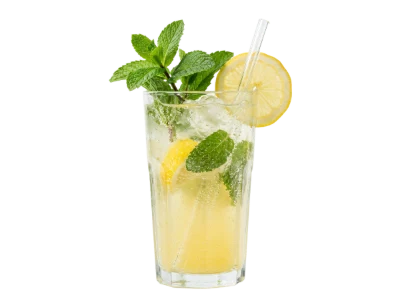 Refreshing Lemon Mint Cocktail