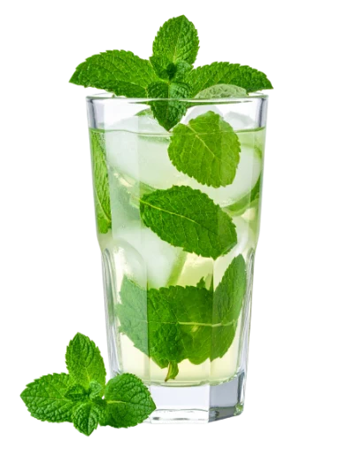 Refreshing Mojito Cocktail
