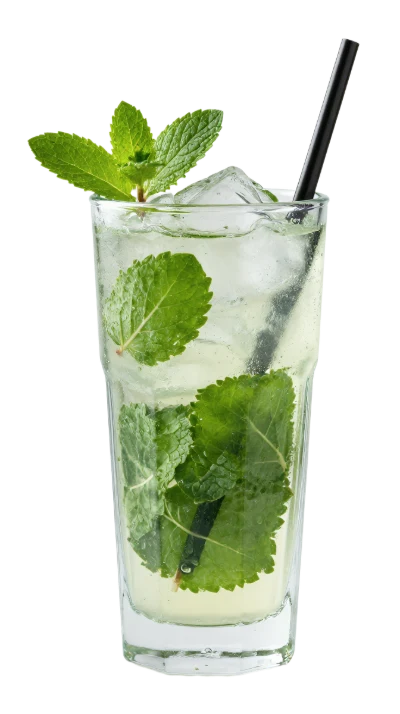 Refreshing Mojito Cocktail