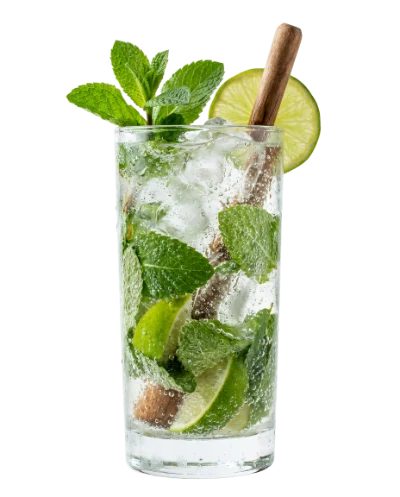 Refreshing Mojito Cocktail Drink