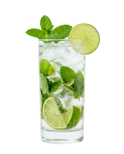 Refreshing Mojito Cocktail Drink
