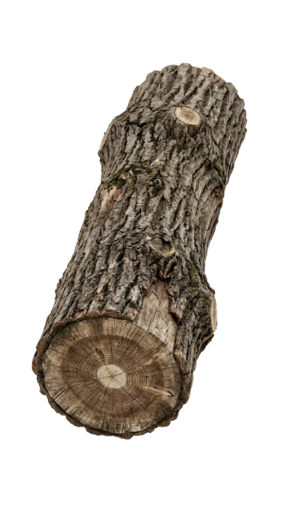 Rough Tree Log