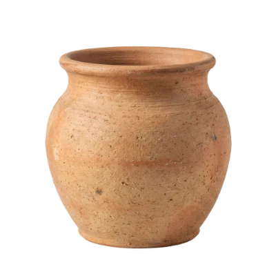 Rustic Clay Pot