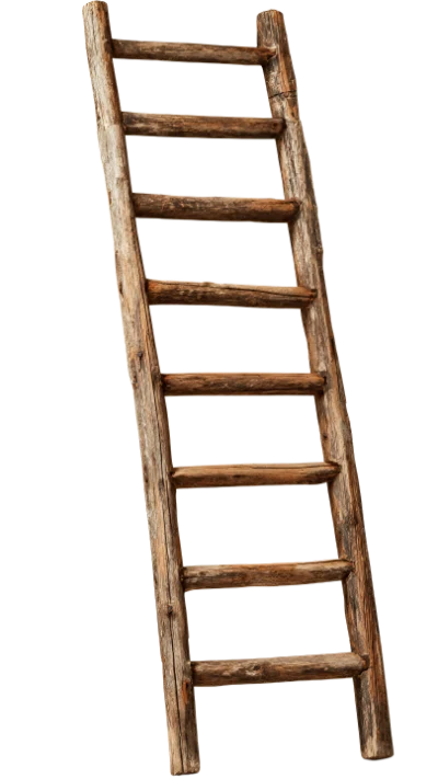 Rustic Wooden Ladder