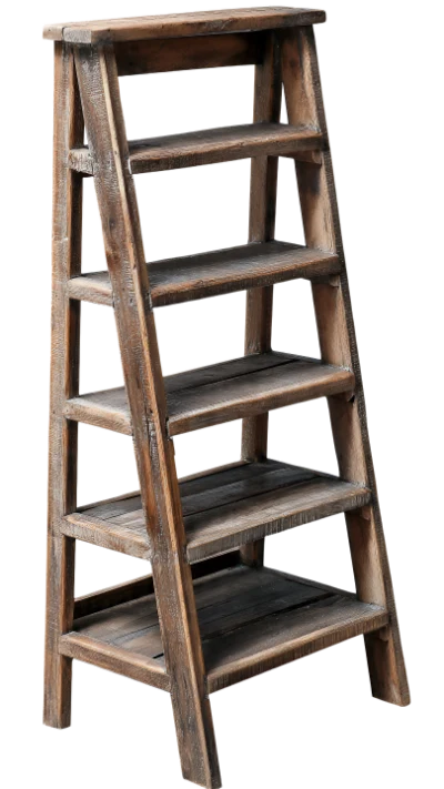 Rustic Wooden Ladder Shelf