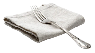 Silver Fork On Napkin