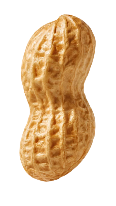 Single Whole Peanut