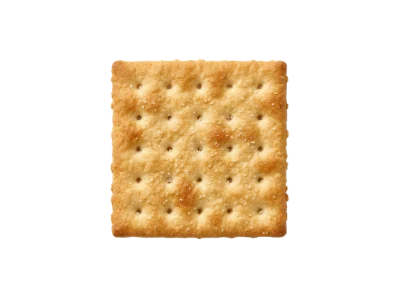 Square Saltine Cracker