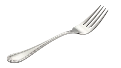 Stainless Steel Dinner Fork