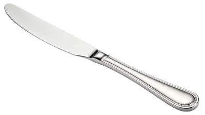 Stainless Steel Table Knife