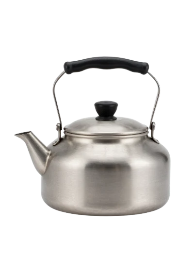 Stainless Steel Tea Kettle