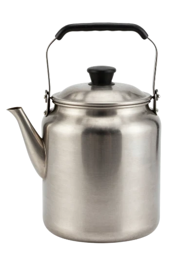 Stainless Steel Tea Kettle