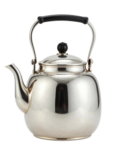 Stainless Steel Tea Kettle