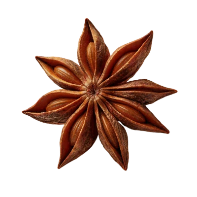 Star Anise Spice