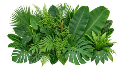 Tropical Green Leaves Arrangement