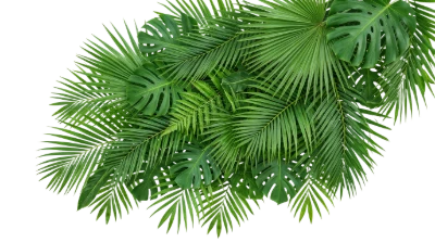 Tropical Palm Leaf Arrangement