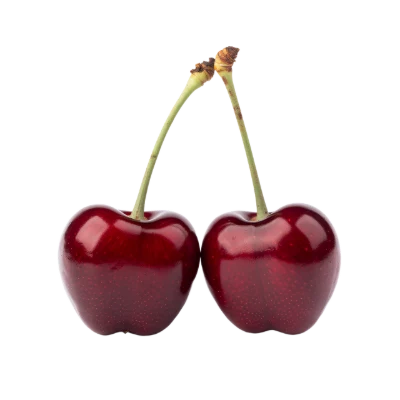 Two Fresh Red Cherries