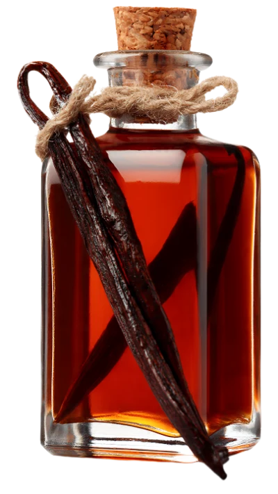Vanilla Extract Bottle