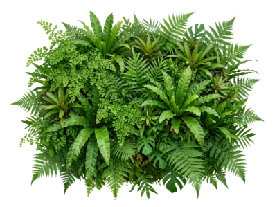Vertical Garden Green Wall