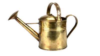 Vintage Brass Watering Can