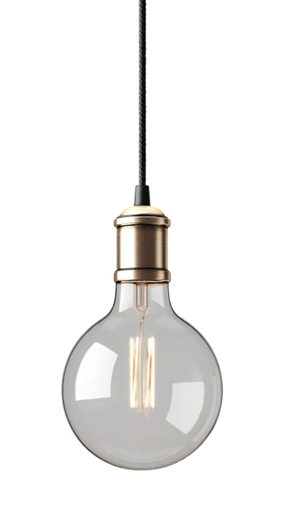 Vintage Edison Light Bulb