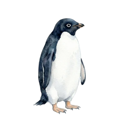 Watercolor Adélie Penguin