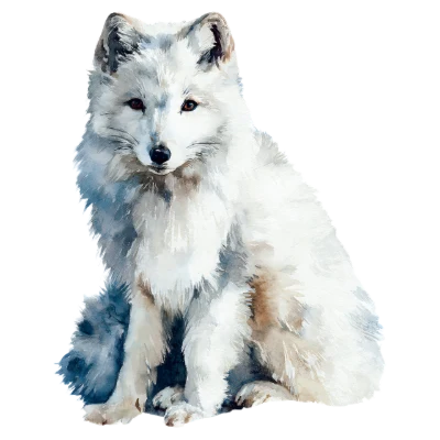 Watercolor Arctic Fox