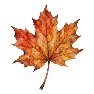 Watercolor Autumn Maple Leaf