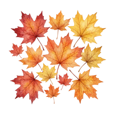 Watercolor Autumn Maple Leaves