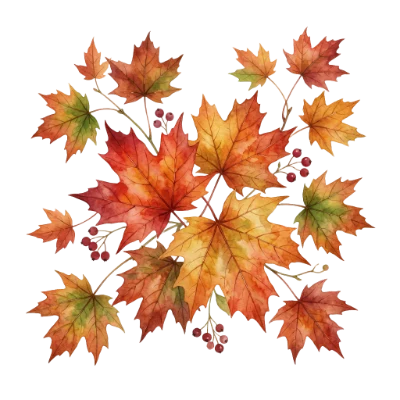 Watercolor Autumn Maple Leaves