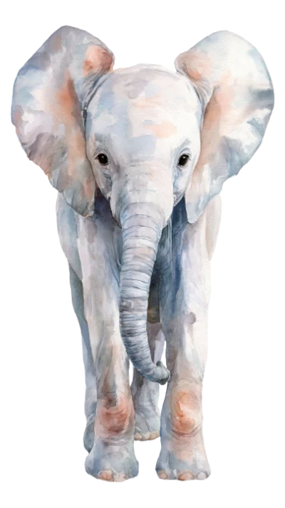 Watercolor Baby Elephant Portrait